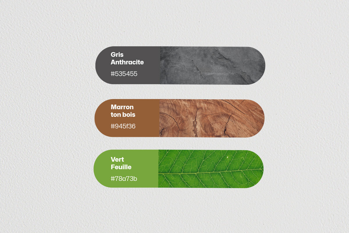 Palettes de couleurs de la marque BSA Constructions Bois